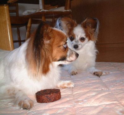 �����ƃ��[��